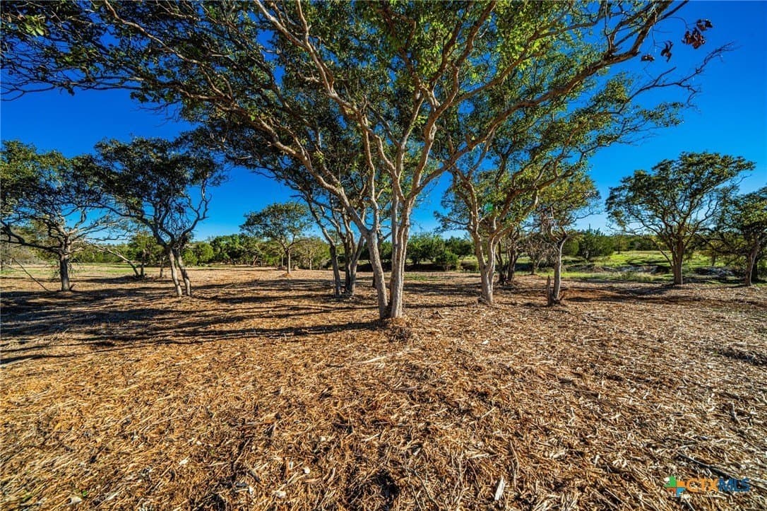 34.25 acres in Bell County - photo 14