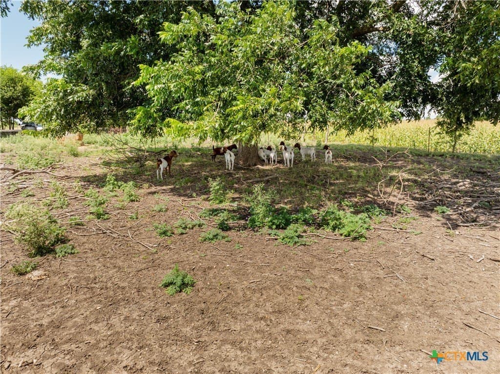 13 acres in Williamson County - photo 29