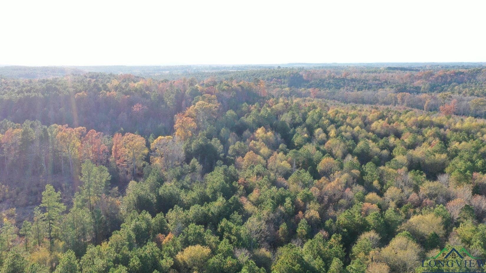 11.81 acres in Cass County - photo 4