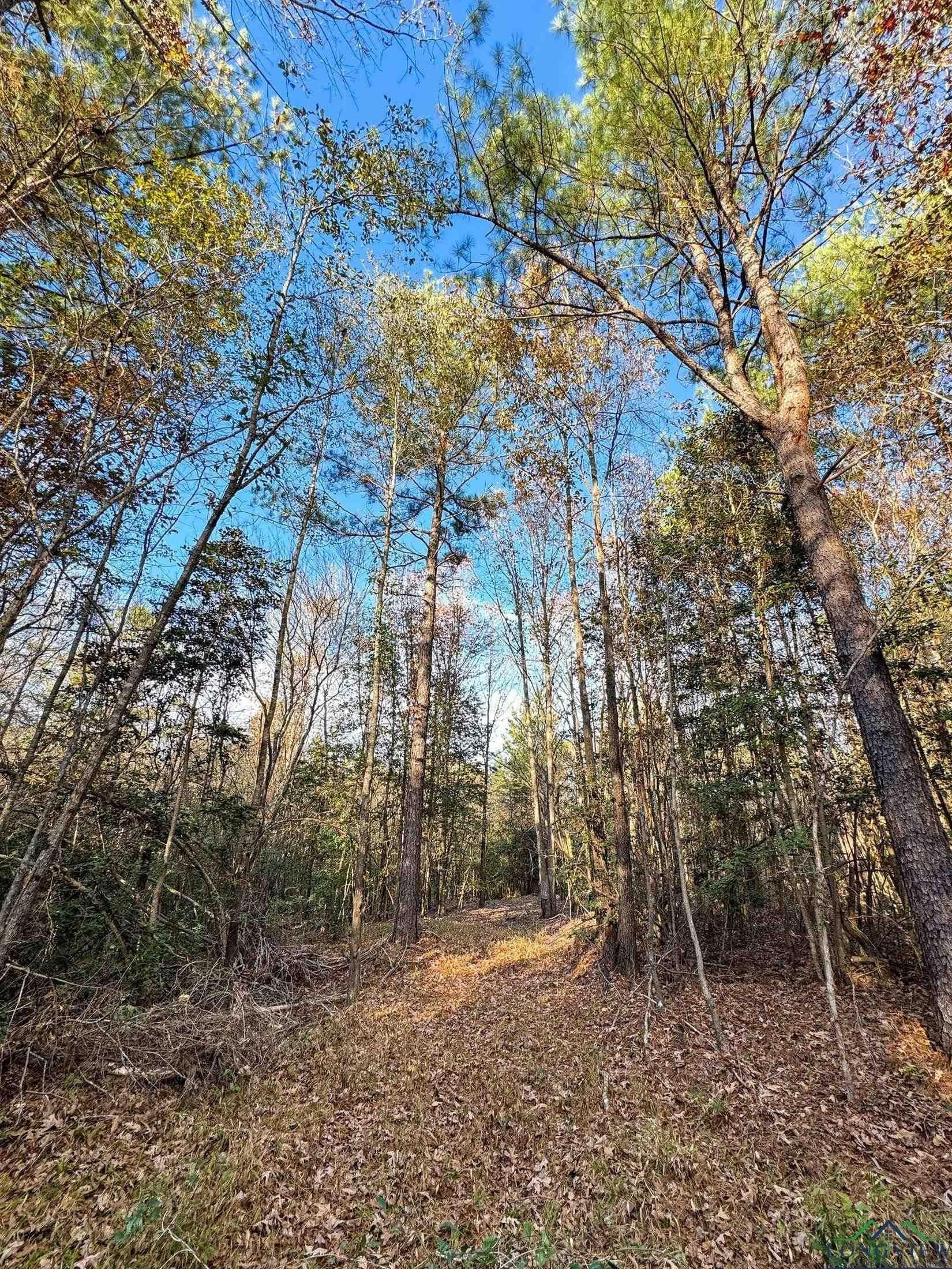11.81 acres in Cass County - photo 25