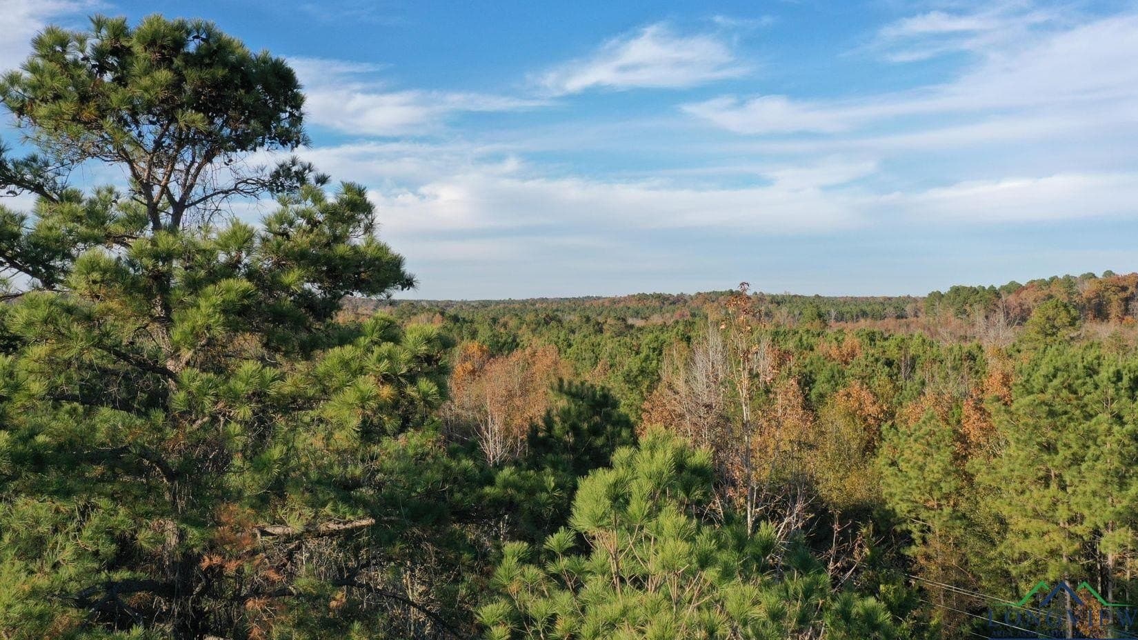 11.81 acres in Cass County - photo 5