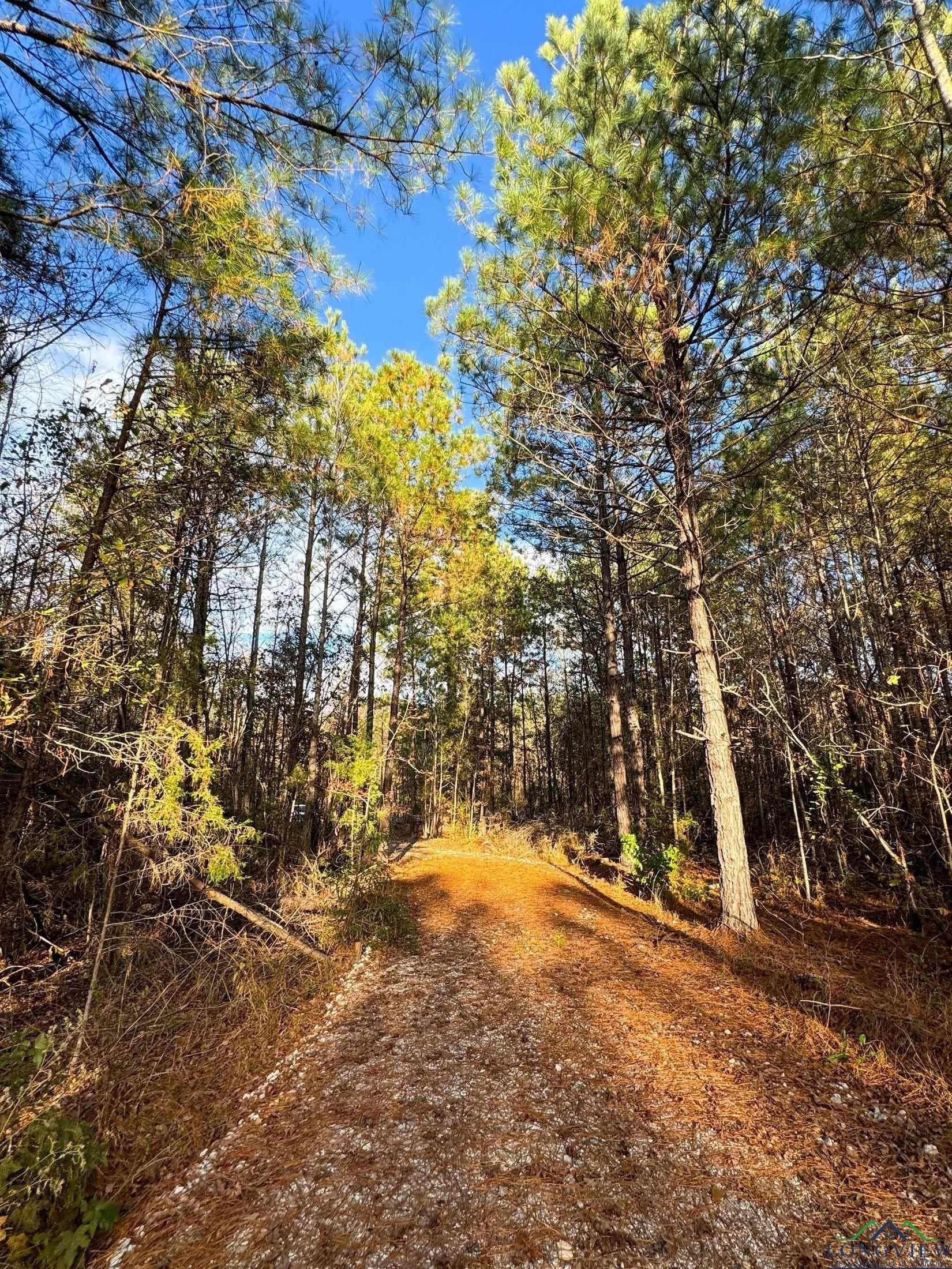 11.81 acres in Cass County - photo 21