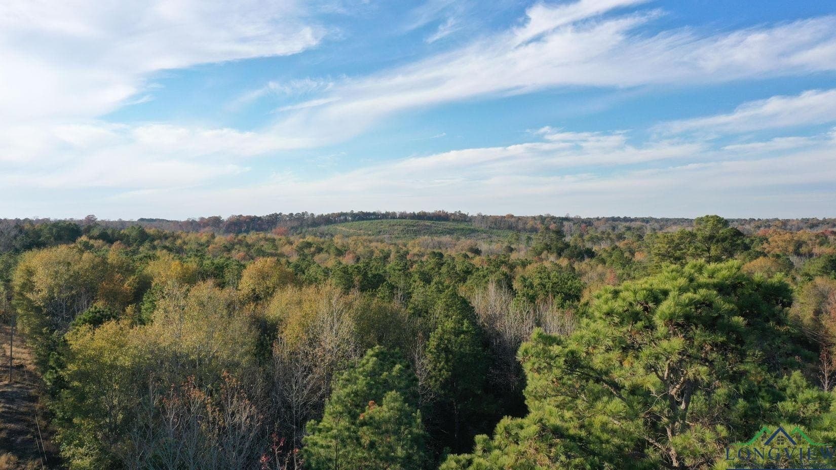 11.81 acres in Cass County - photo 3