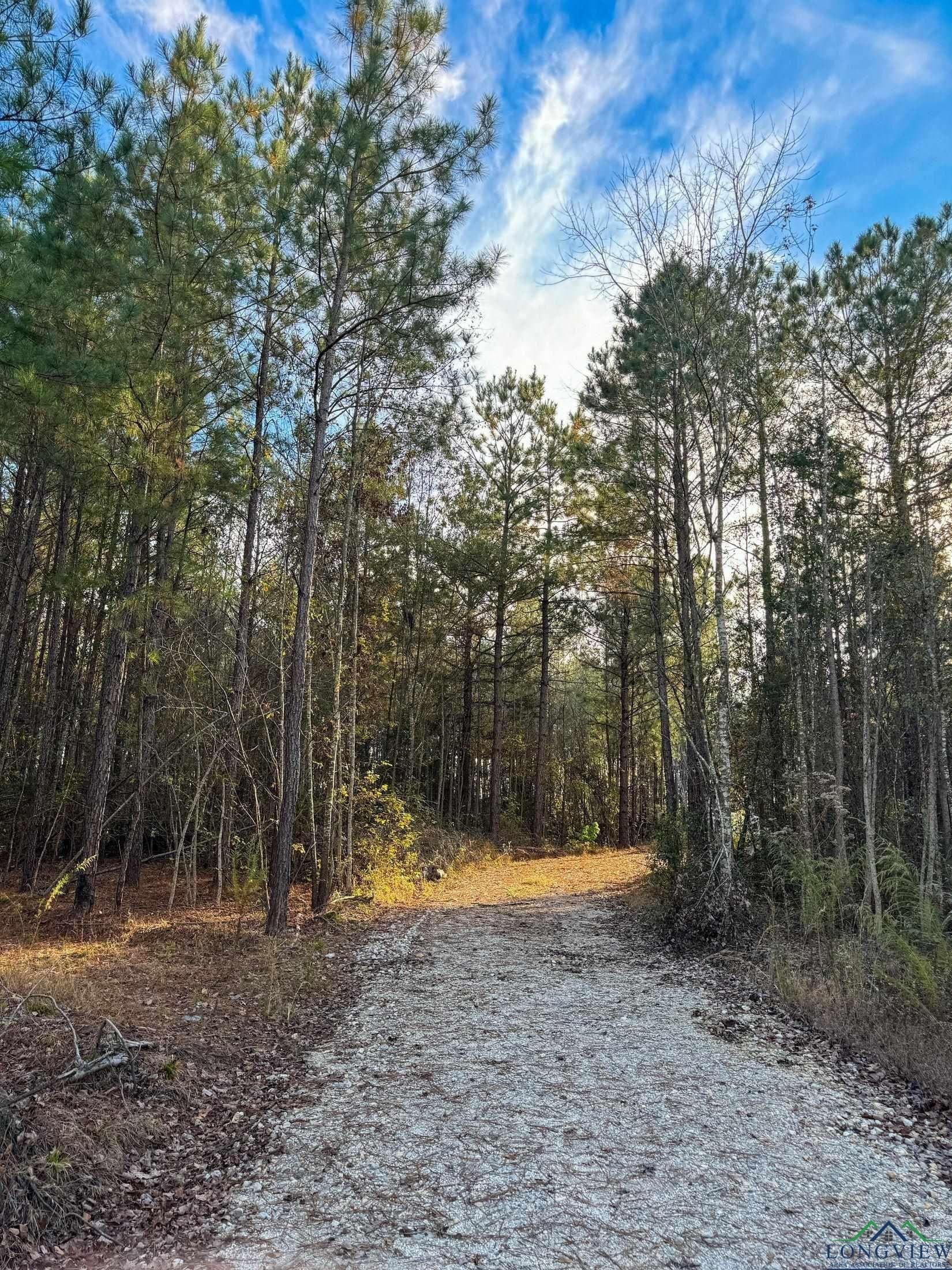 11.81 acres in Cass County - photo 18