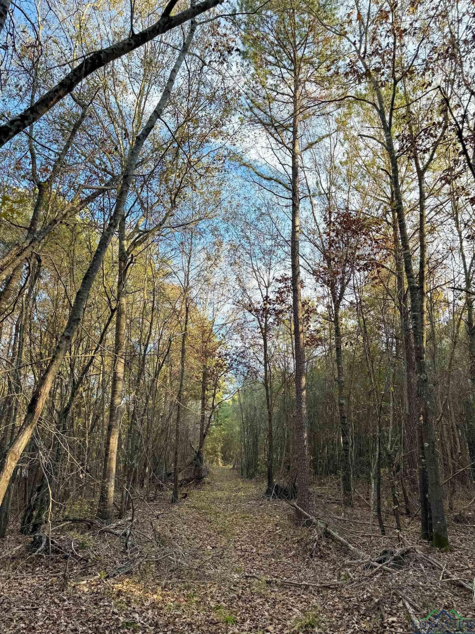 11.81 acres in Cass County - photo 28