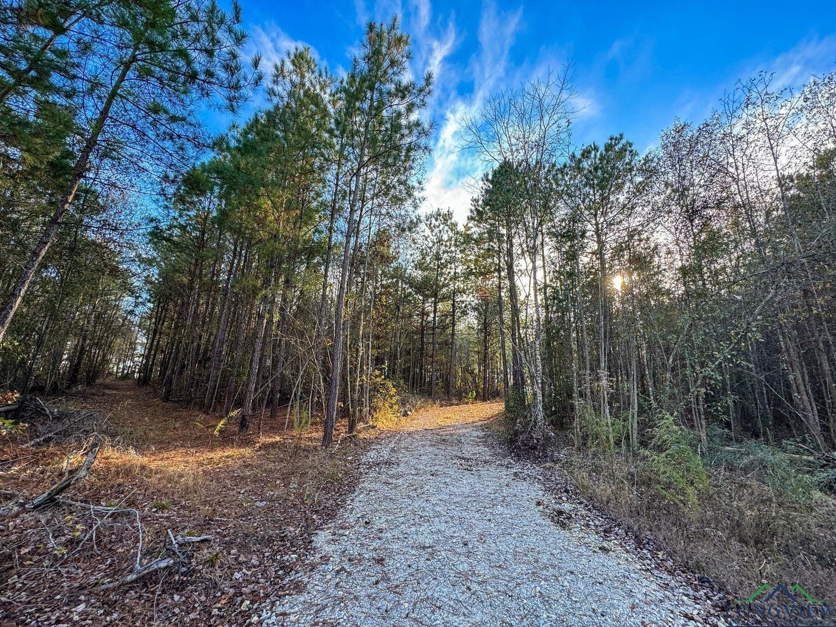 11.81 acres in Cass County - photo 7