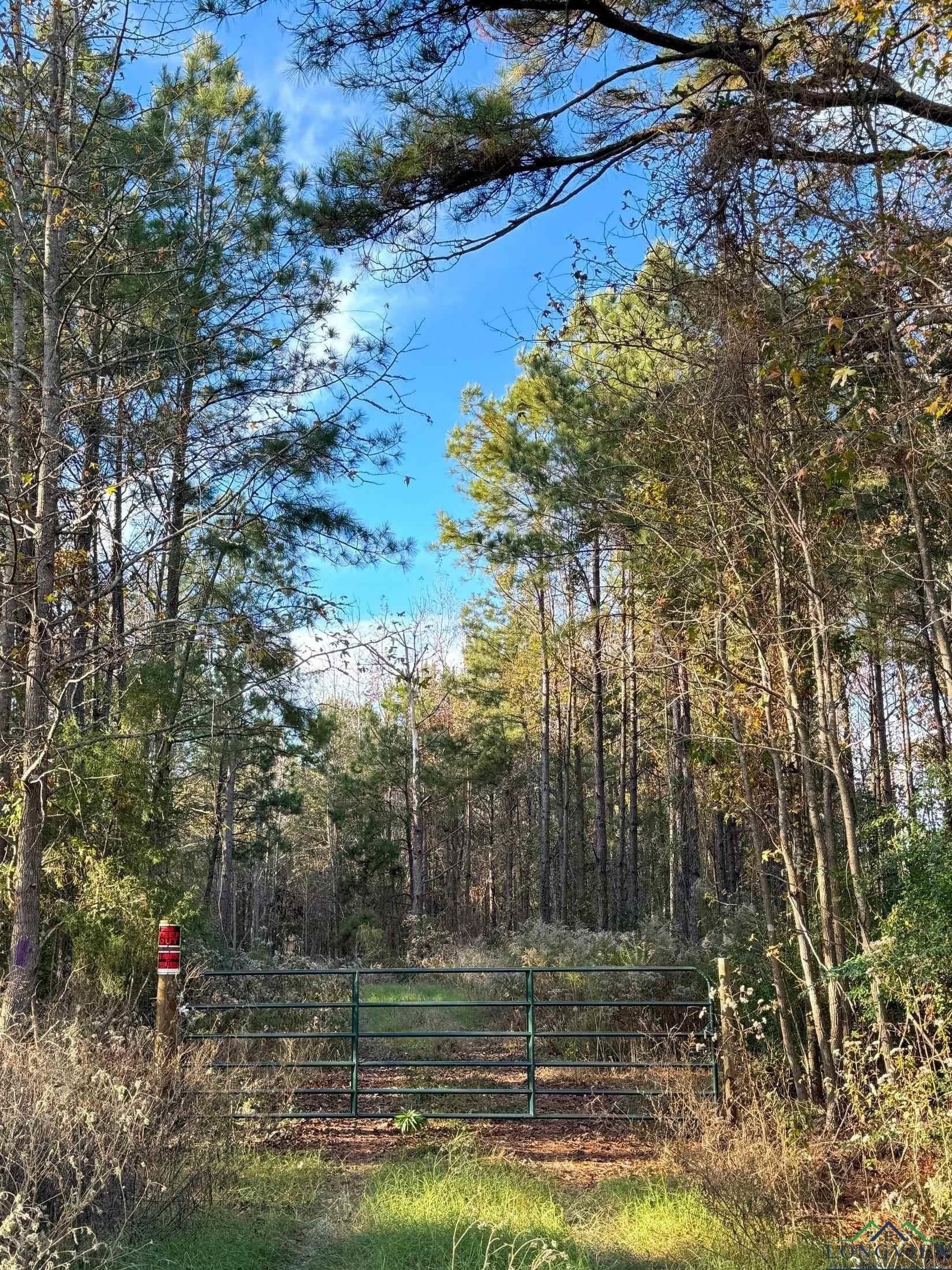 11.81 acres in Cass County - photo 27