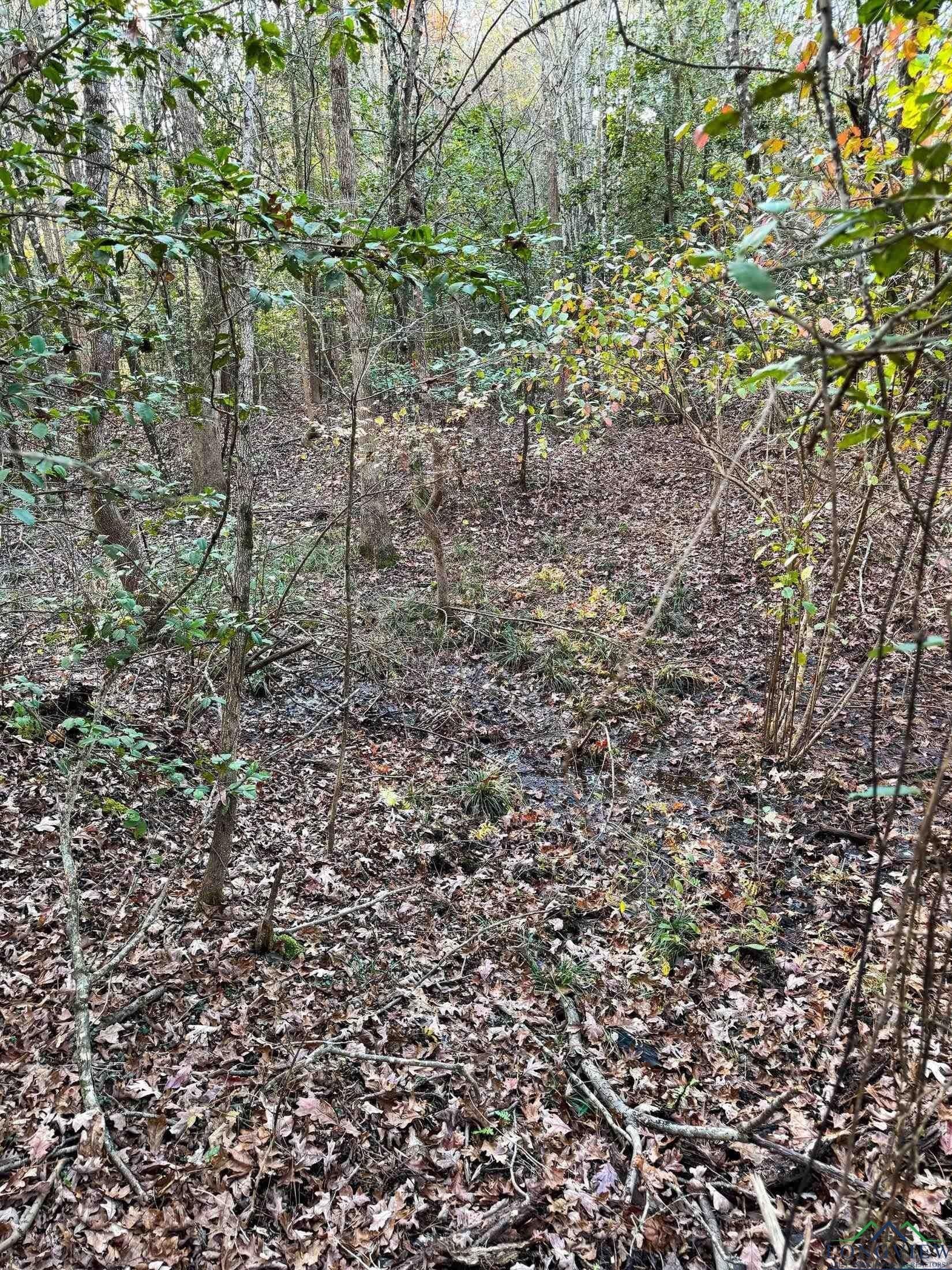 11.81 acres in Cass County - photo 26