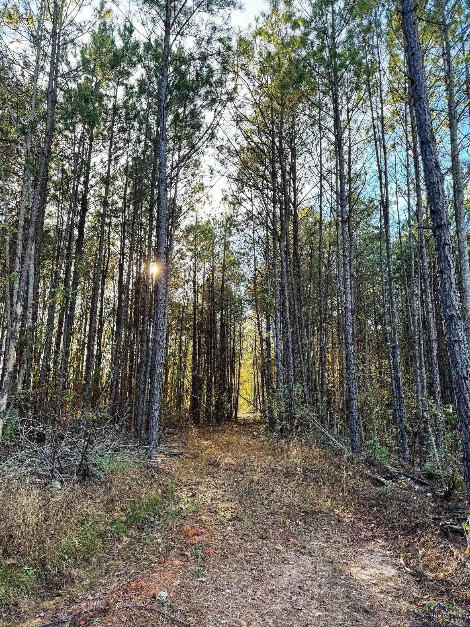 11.81 acres in Cass County - photo 24