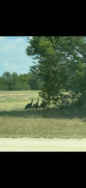 10.01 acres in Hamilton County - photo 12