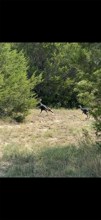 10.01 acres in Hamilton County - photo 13