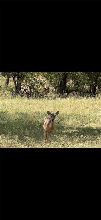 10.01 acres in Hamilton County - photo 14