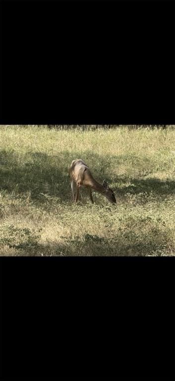 10.01 acres in Hamilton County - photo 5