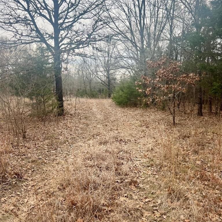24.07 acres in Hopkins County - photo 2