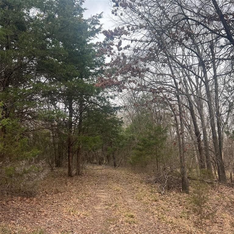 24.07 acres in Hopkins County - photo 10