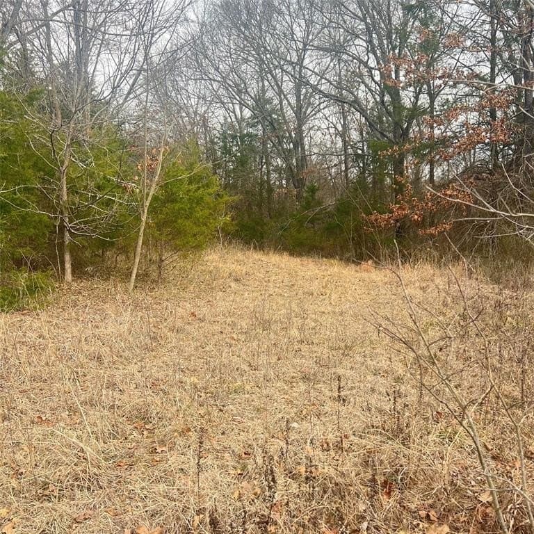 24.07 acres in Hopkins County - photo 7