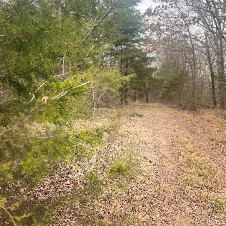 24.07 acres in Hopkins County - photo 9