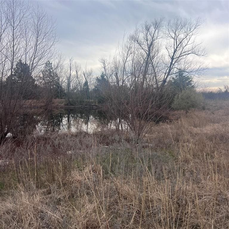 24.07 acres in Hopkins County - photo 11