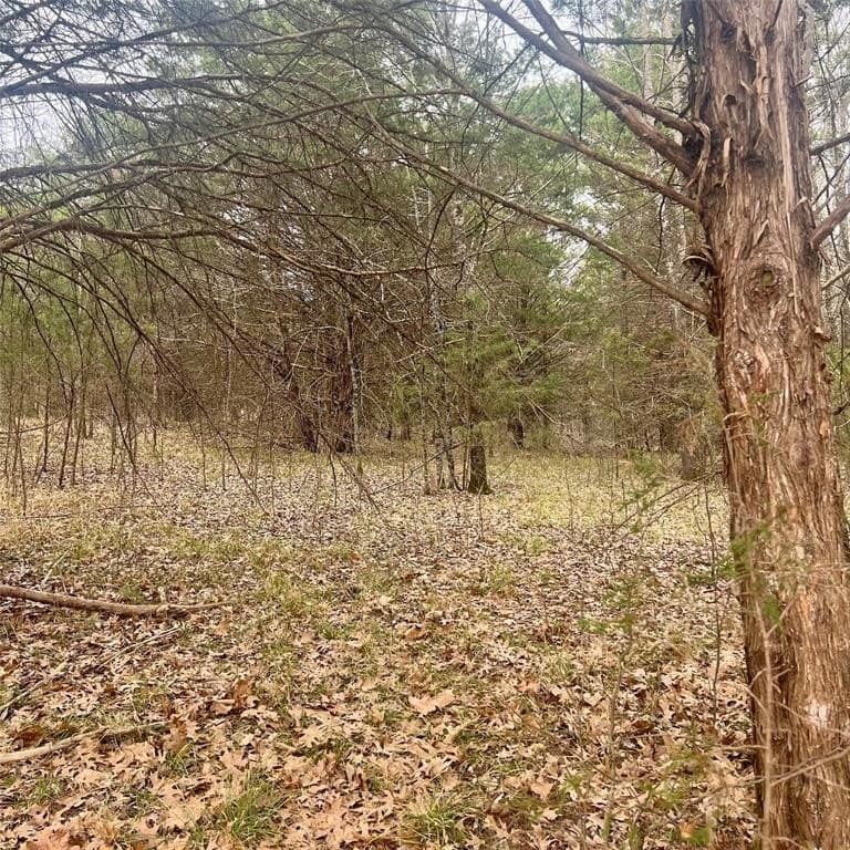24.07 acres in Hopkins County - photo 12