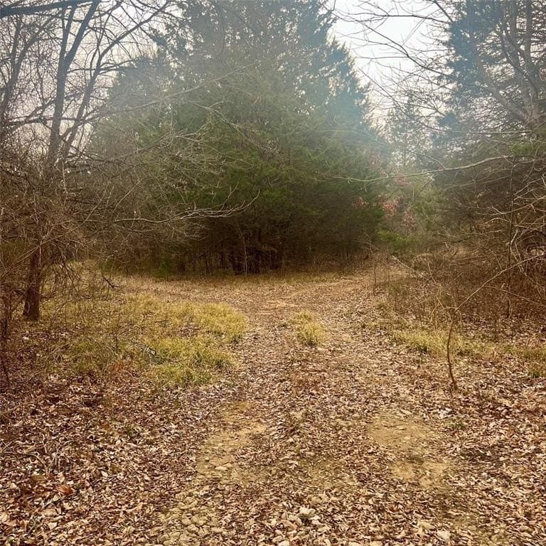 24.07 acres in Hopkins County - photo 3