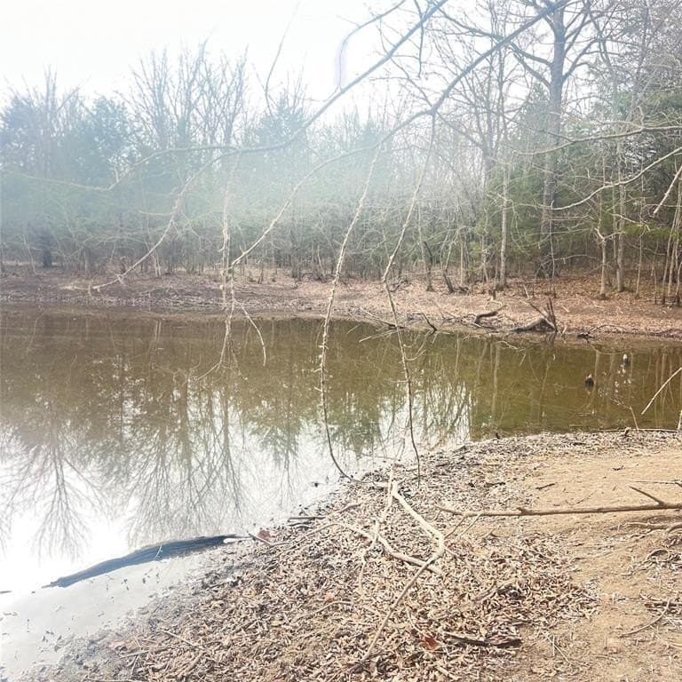 24.07 acres in Hopkins County - photo 6
