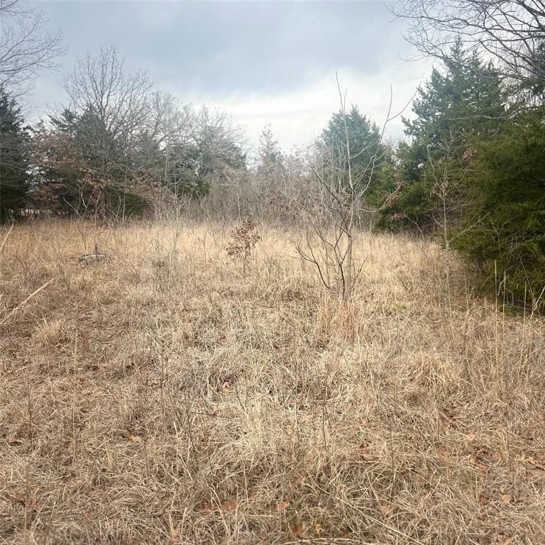 24.07 acres in Hopkins County - photo 4