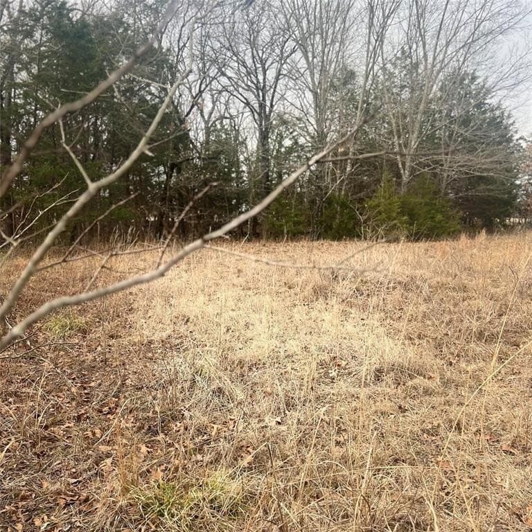 24.07 acres in Hopkins County - photo 8