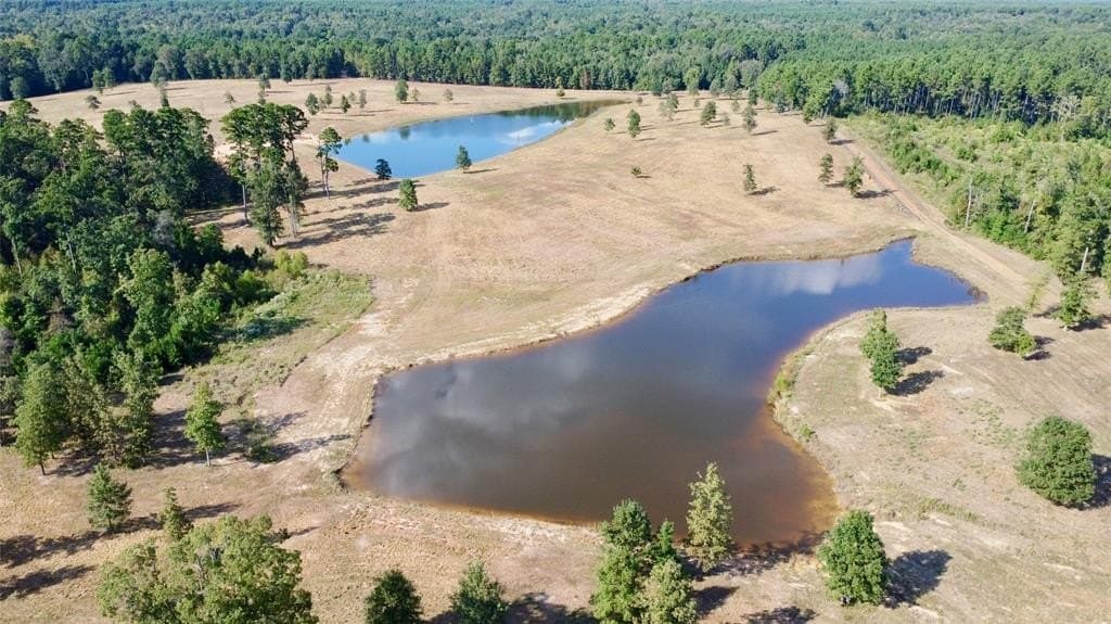 79.02 acres in Marion County - photo 8