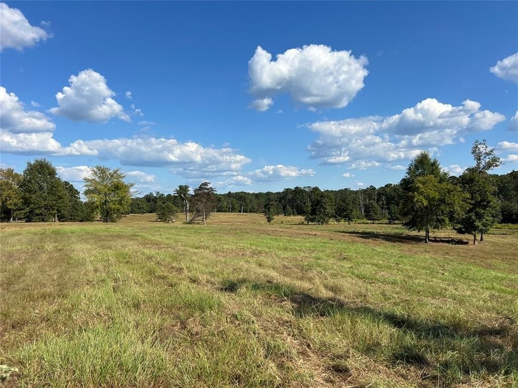 79.02 acres in Marion County - photo 18