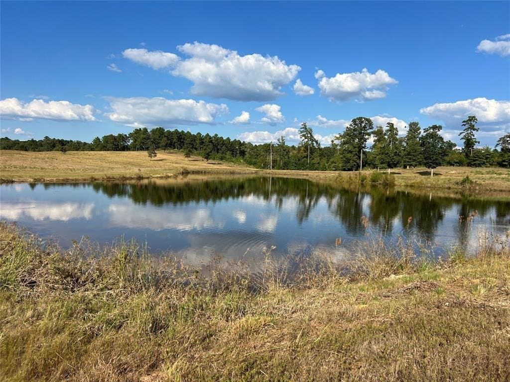 79.02 acres in Marion County - photo 20