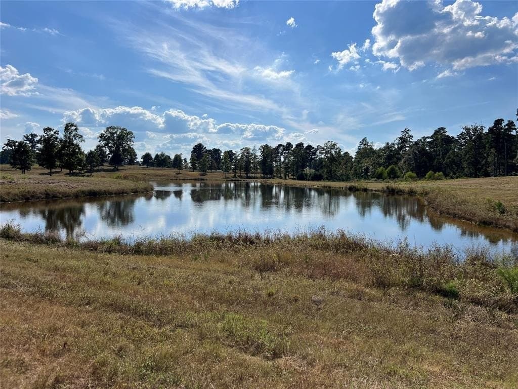 79.02 acres in Marion County - photo 16