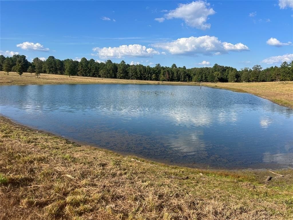 79.02 acres in Marion County - photo 23