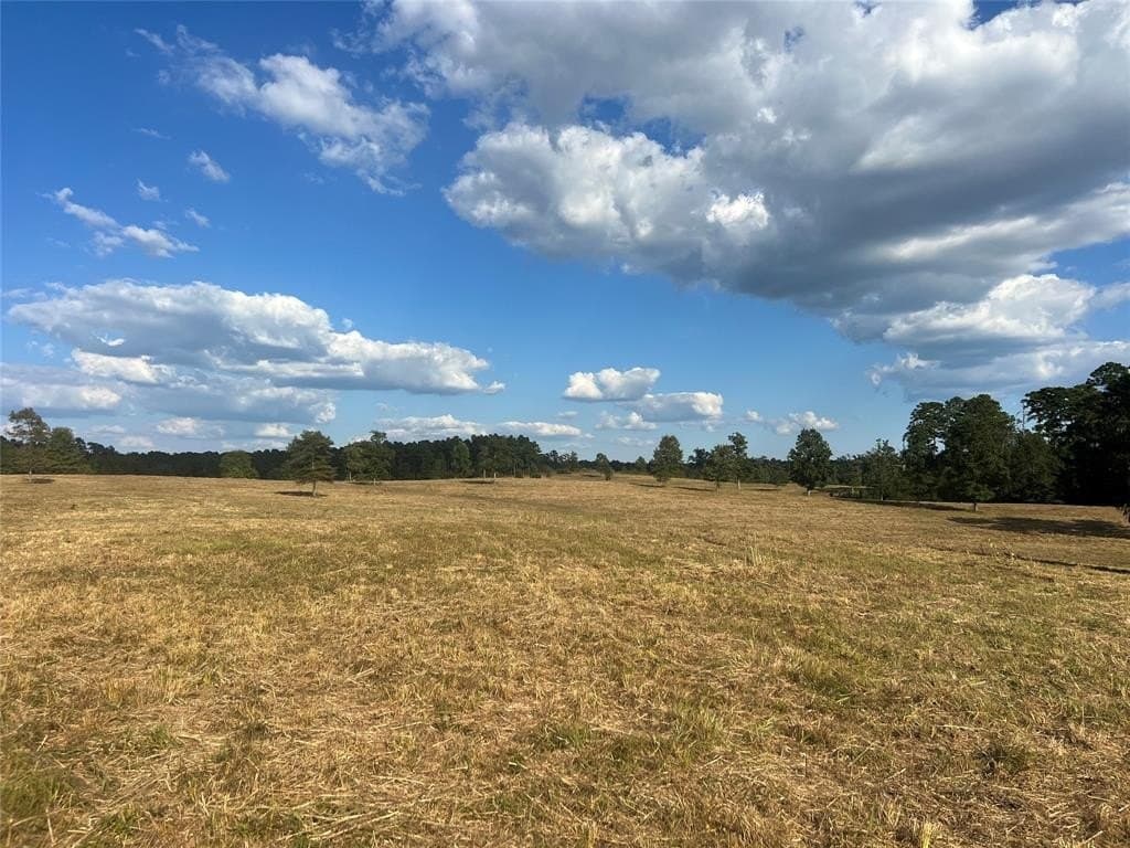 79.02 acres in Marion County - photo 25