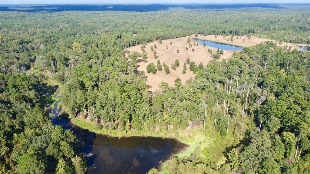 79.02 acres in Marion County - photo 12