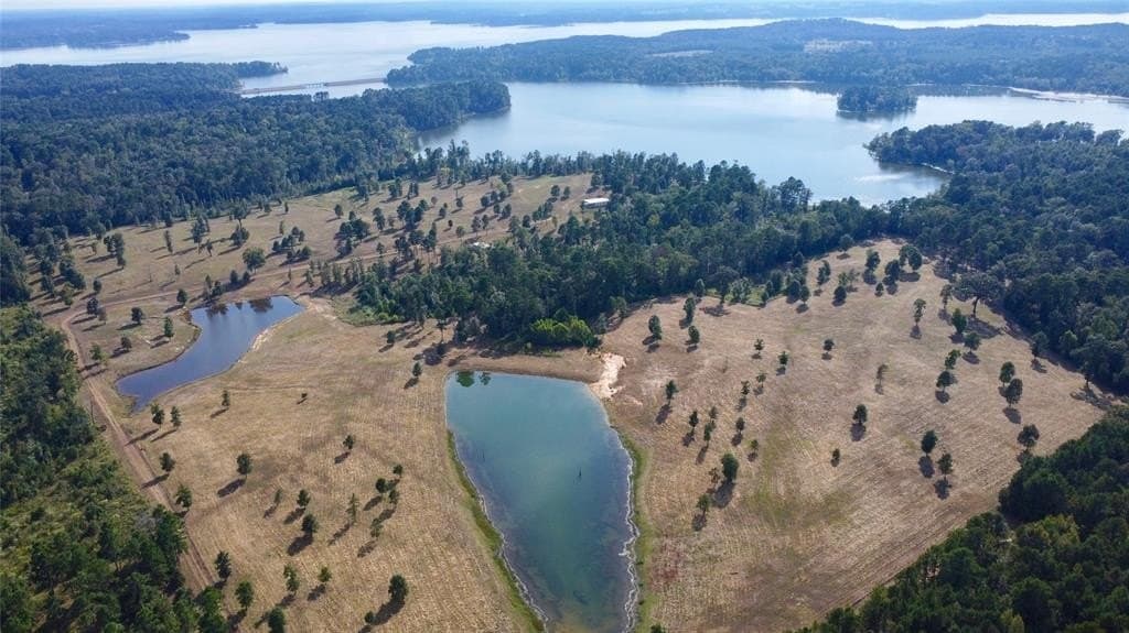 79.02 acres in Marion County - photo 11