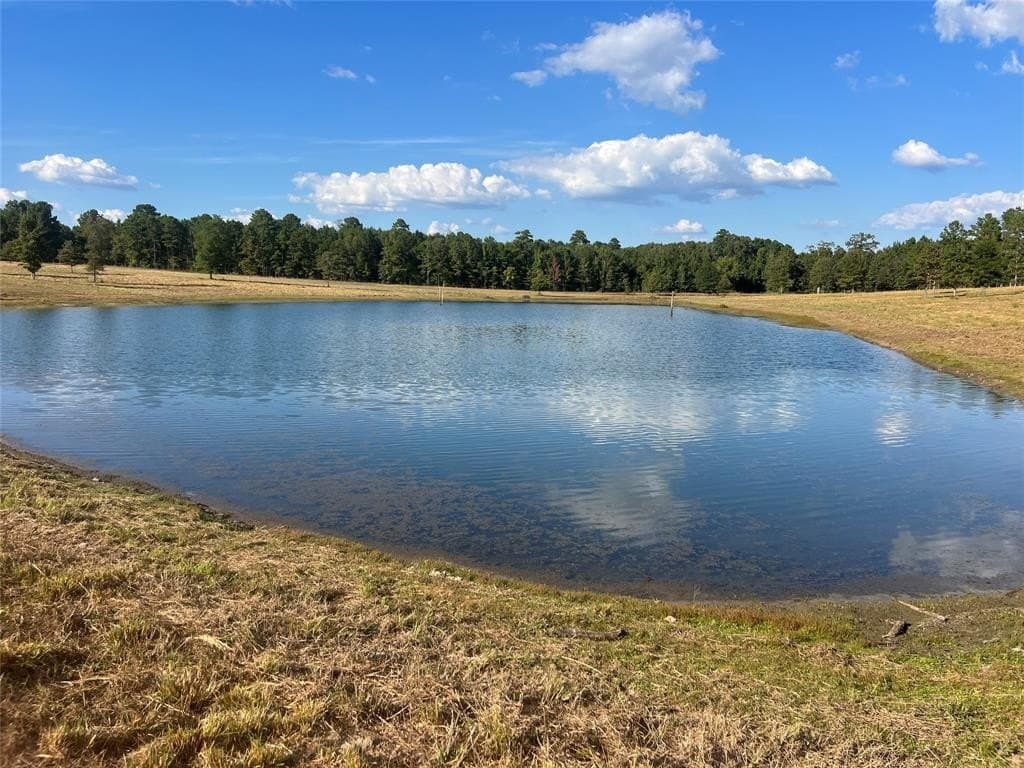 79.02 acres in Marion County - photo 22