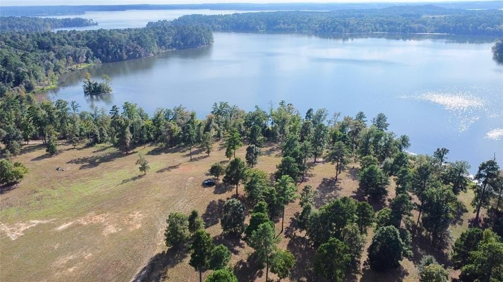 79.02 acres in Marion County - photo 15