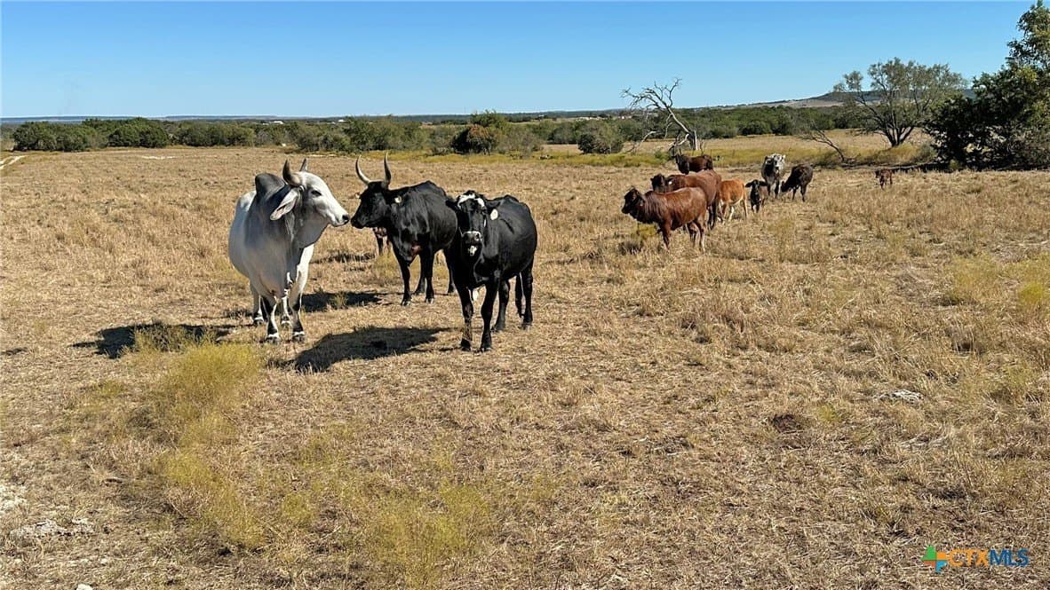 130.03 acres in Lampasas County - photo 4