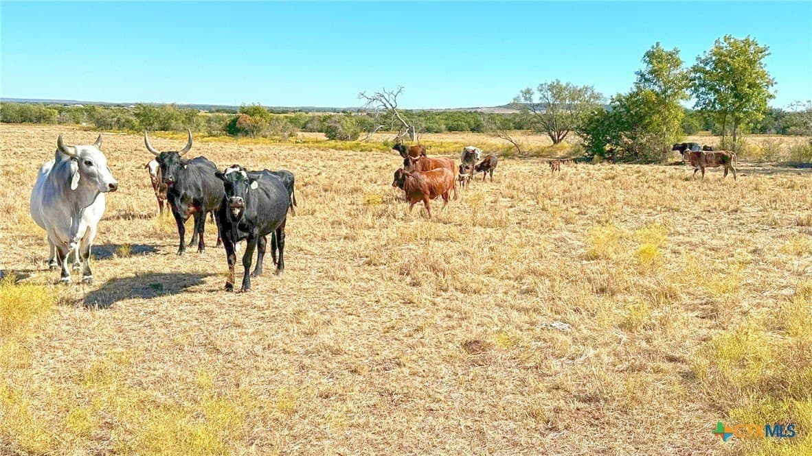 130.03 acres in Lampasas County - photo 5