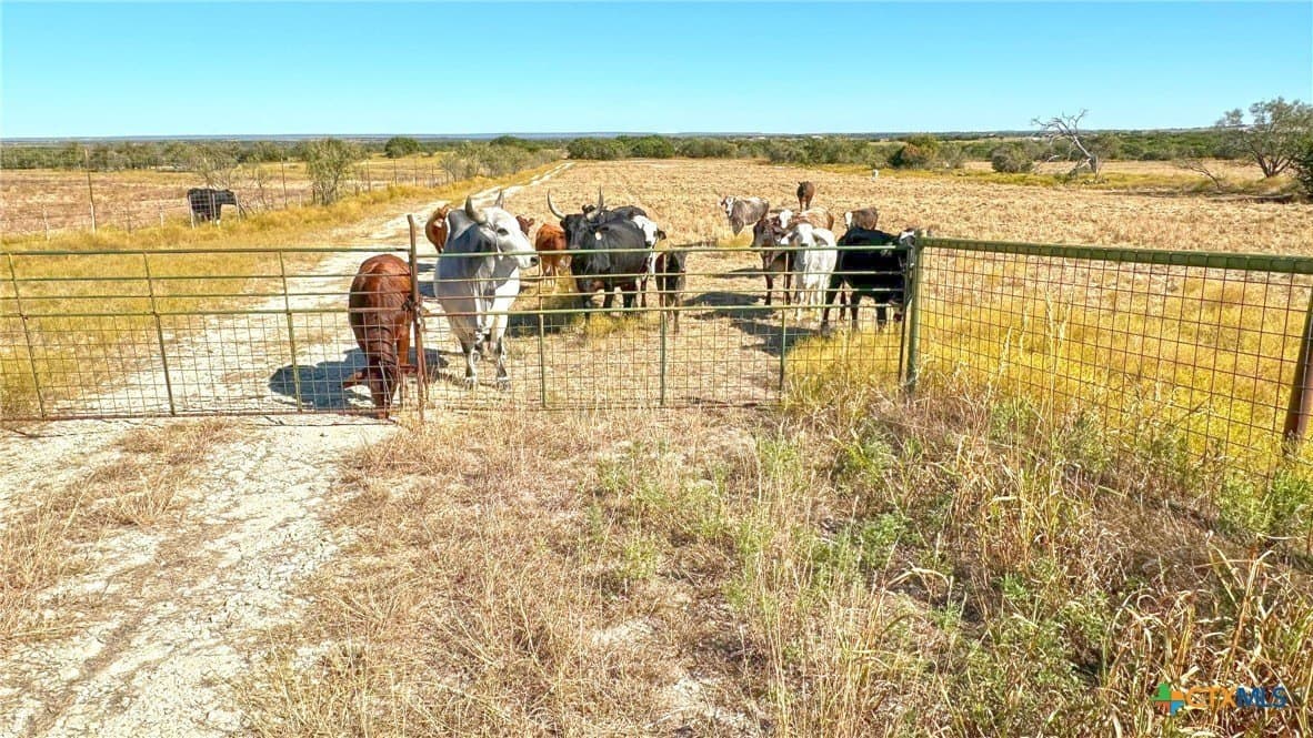 130.03 acres in Lampasas County - photo 3