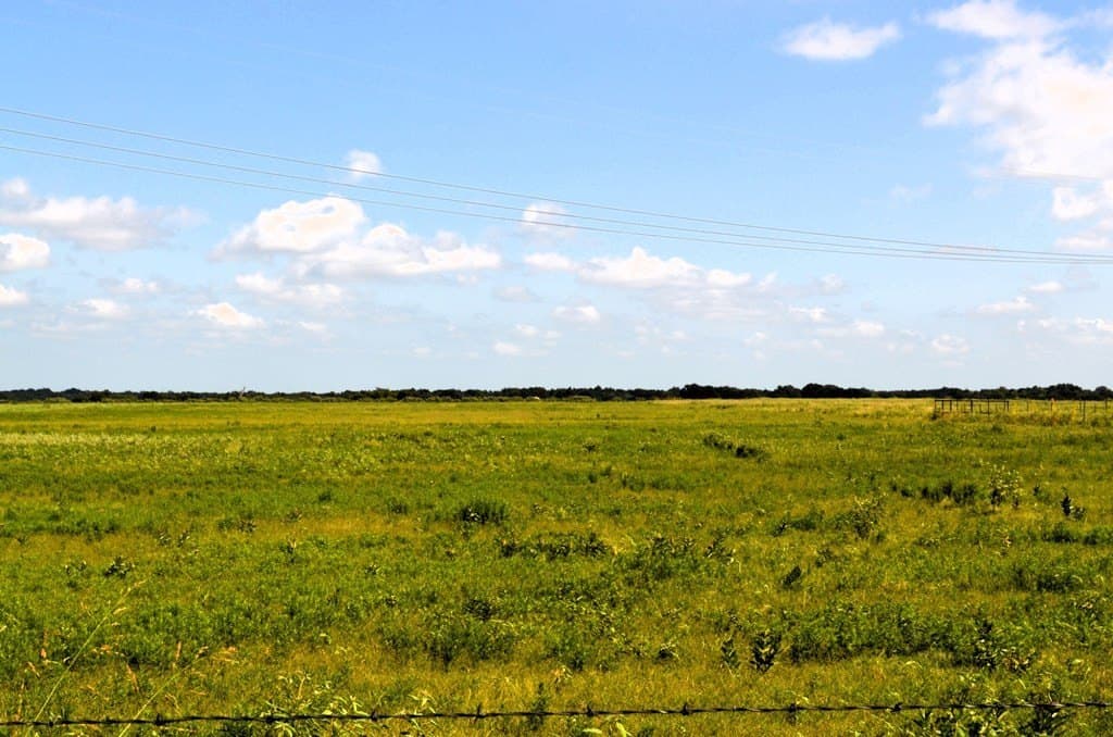 2.29 acres in Kaufman County - photo 6