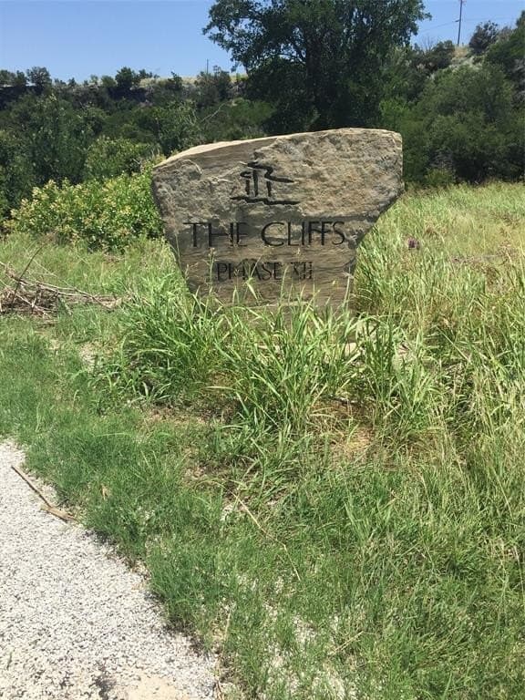 0.25 acres in Palo Pinto County - photo 5