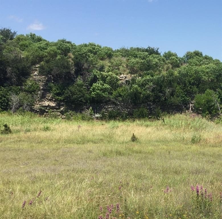0.25 acres in Palo Pinto County - photo 3