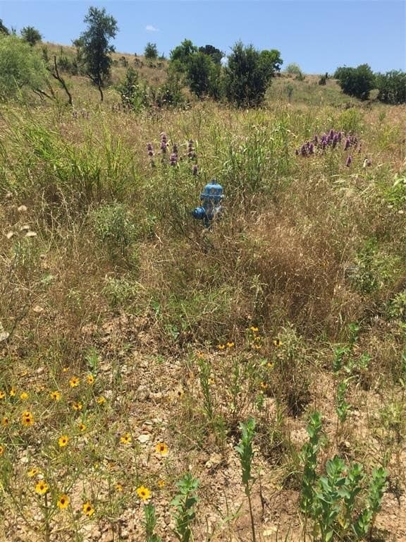 0.25 acres in Palo Pinto County - photo 8