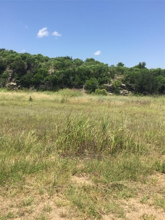 0.25 acres in Palo Pinto County - photo 9