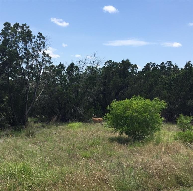 0.25 acres in Palo Pinto County - photo 6