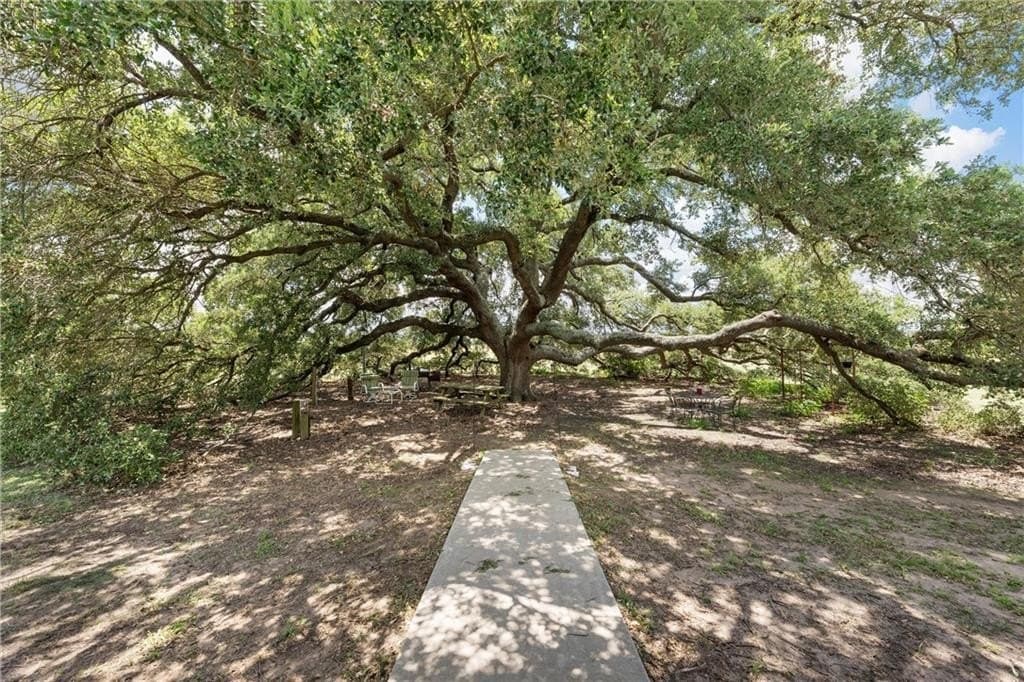 62.24 acres in Falls County - photo 3