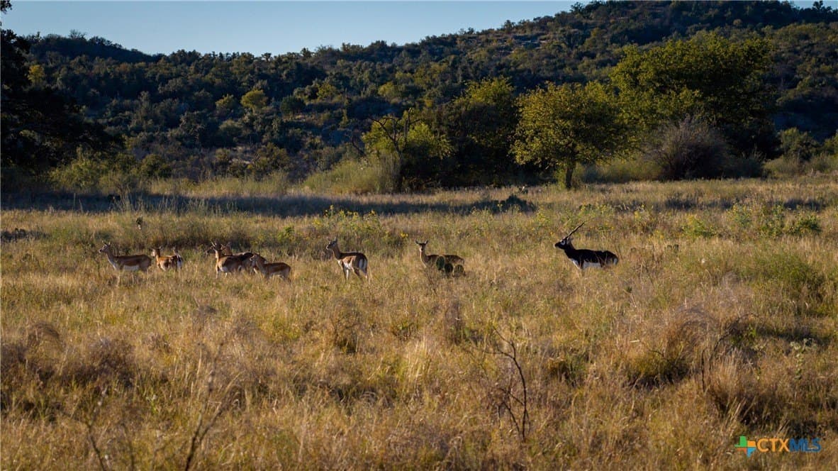 316 acres in Llano County - photo 3