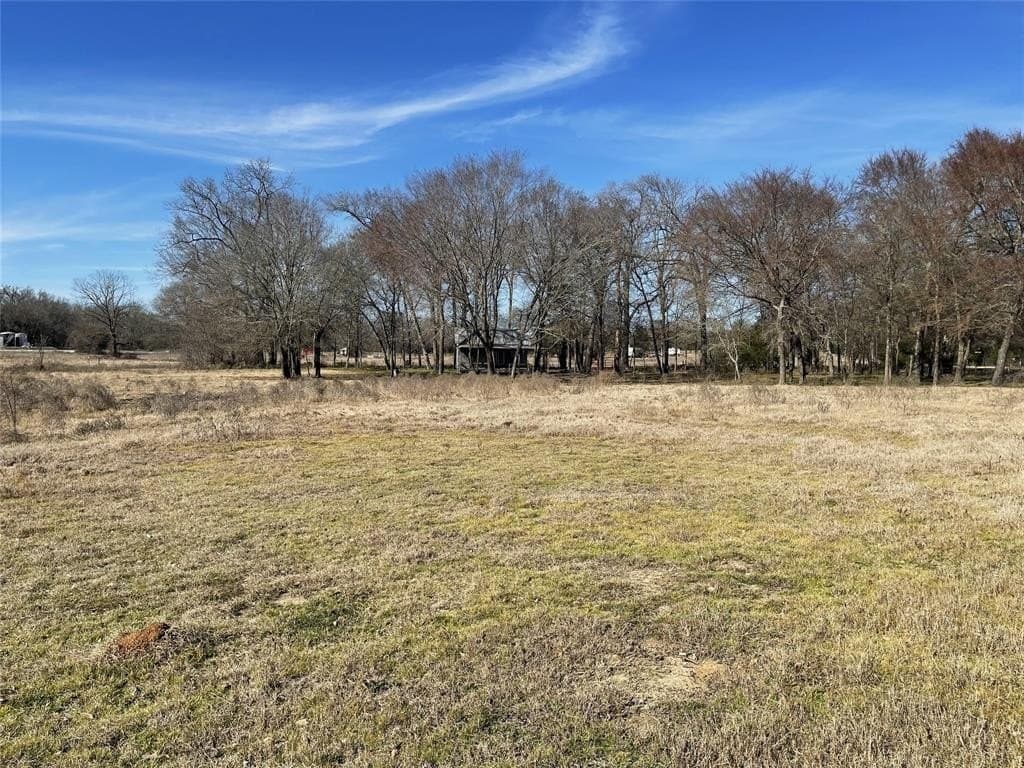 21.47 acres in Freestone County - photo 9