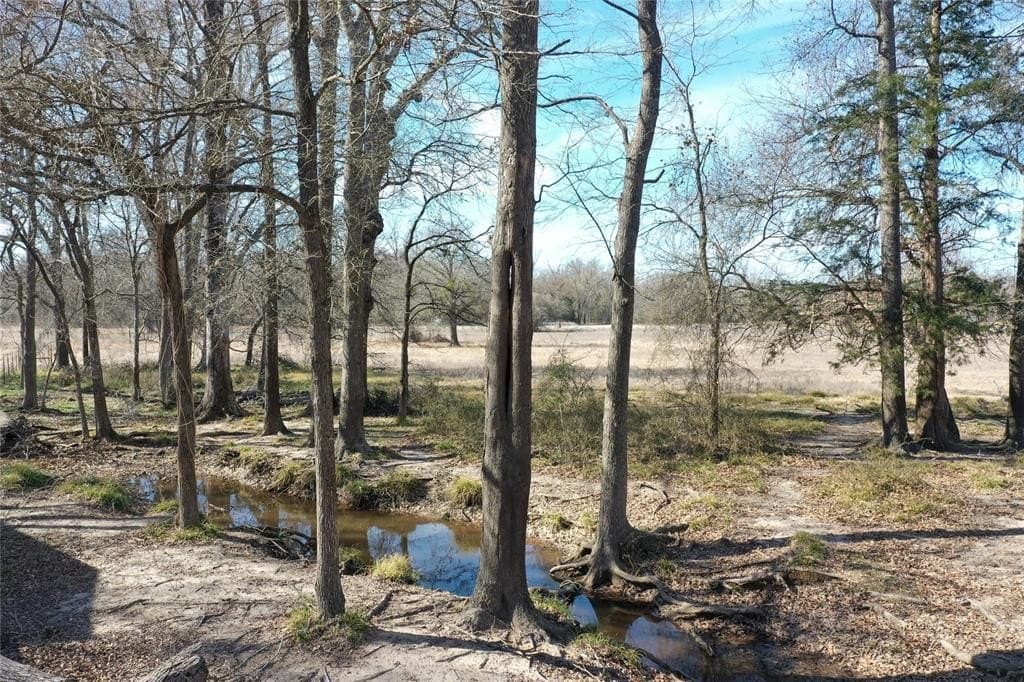 21.47 acres in Freestone County - photo 7